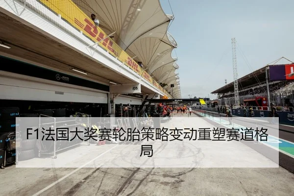 F1法国大奖赛轮胎策略变动重塑赛道格局 | 6686Sports
