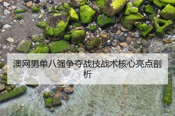 ao-wang-nan-dan-ba-qiang-zheng-duo-zhan-ji-zhan-shu-he-xin-liang-dian-pou-xi-2-926.jpg